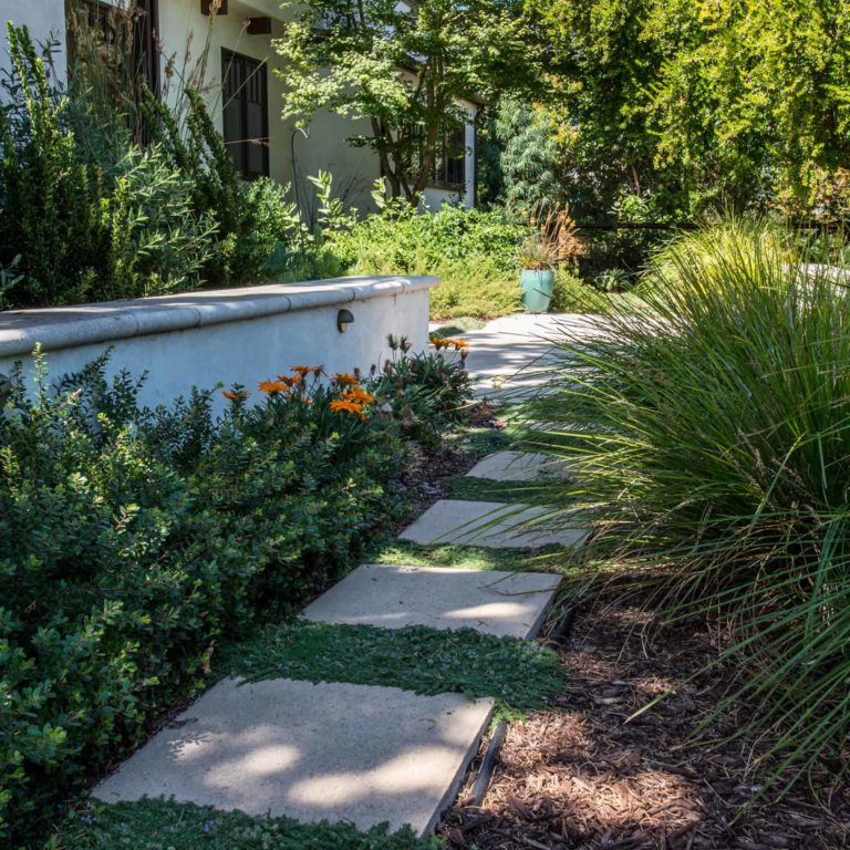 drought resistant landscaping bay area