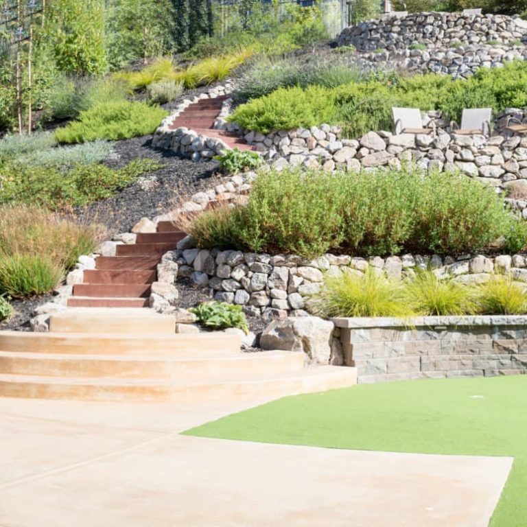 drought resistant landscaping bay area