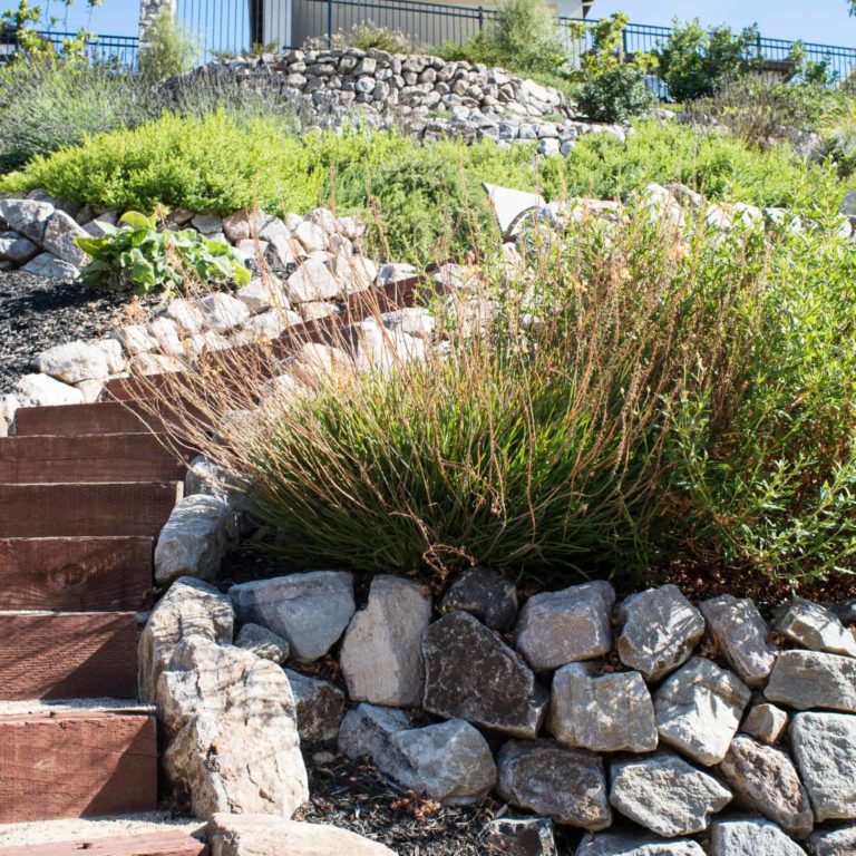 drought resistant landscaping bay area