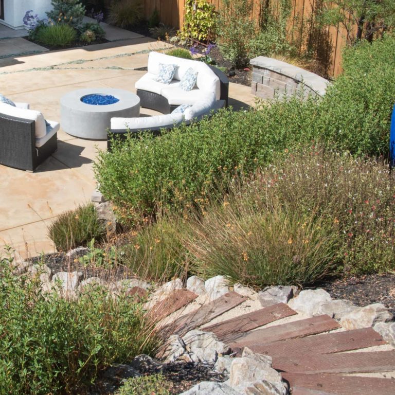drought resistant landscaping bay area