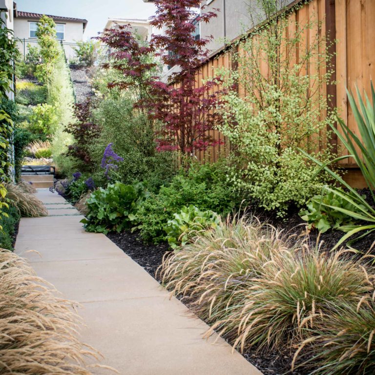 drought resistant landscaping bay area