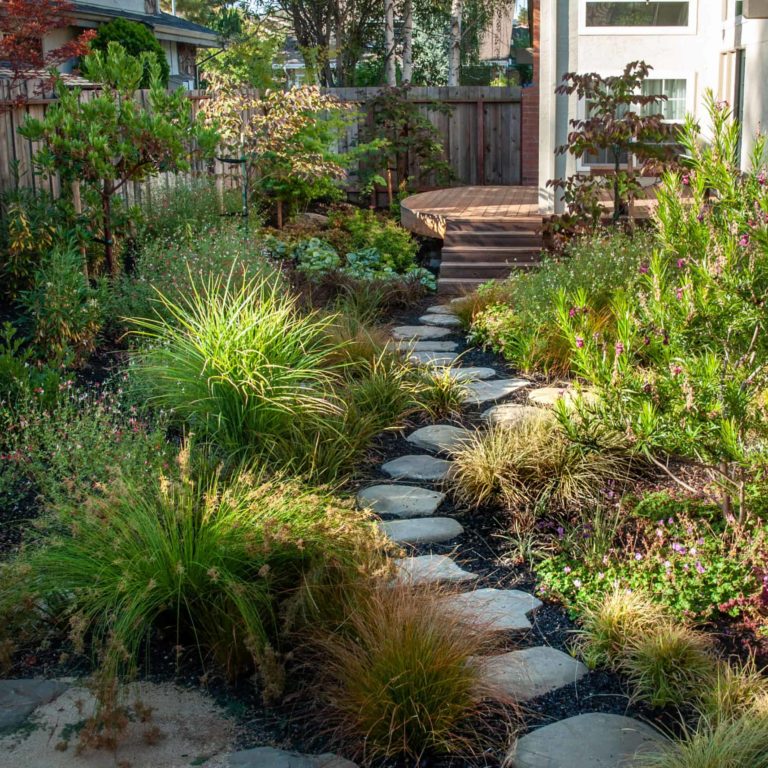 drought resistant landscaping bay area