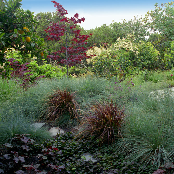 bay area custom outdoor landscape design and living space