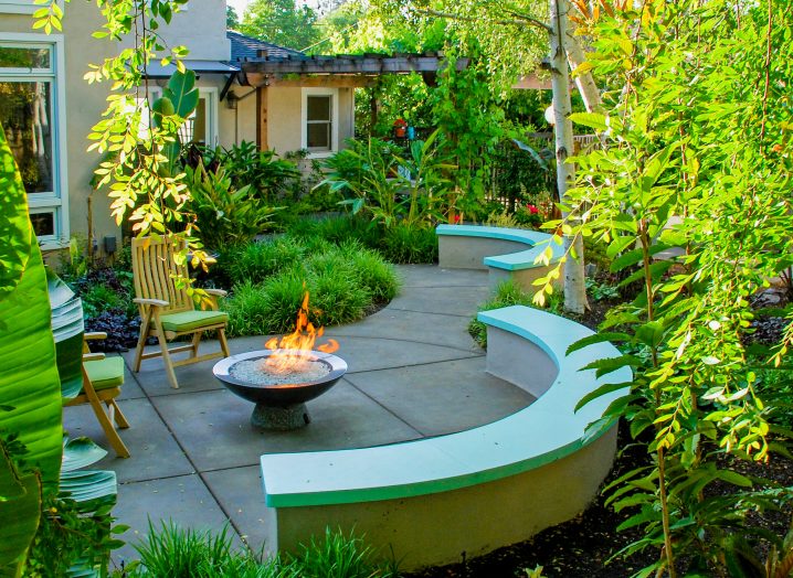 best lawn care and landscape maintenance services bay area walnut creek