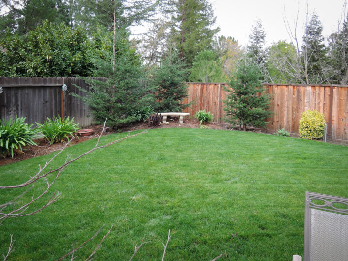 12-12-14 118 romantic backyard bay area napa