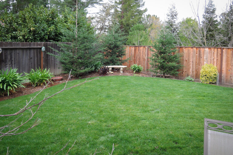 romantic backyard bay area napa