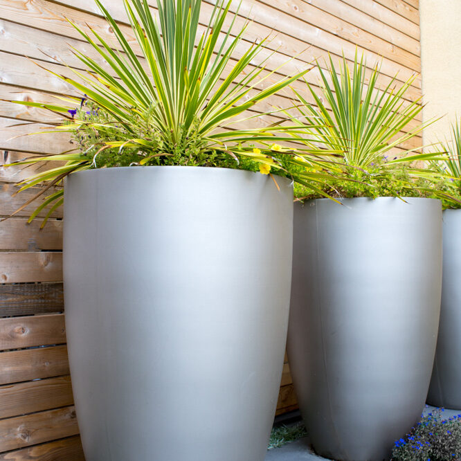 landscape construction service bay area san ramon walnut creek