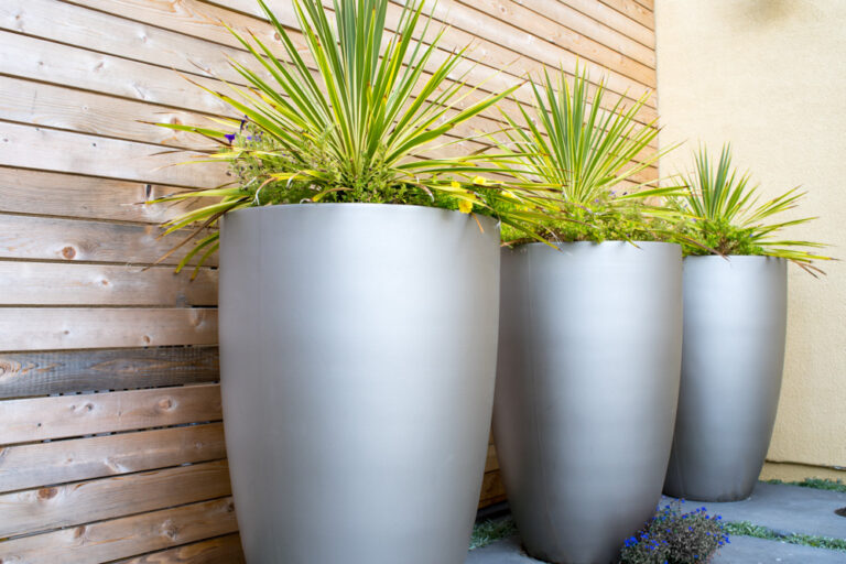 landscape construction service bay area san ramon walnut creek