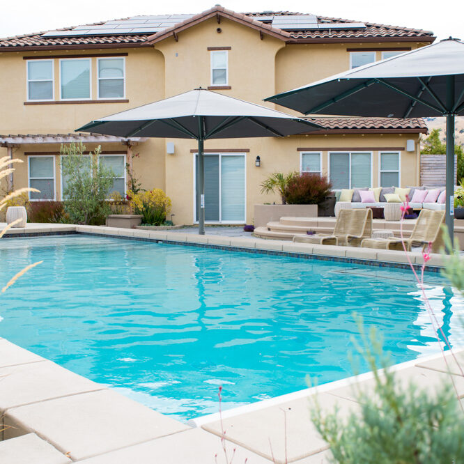 landscape design build company danville