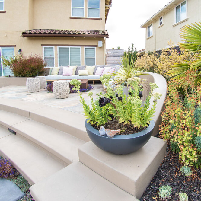 landscape construction service bay area san ramon walnut creek
