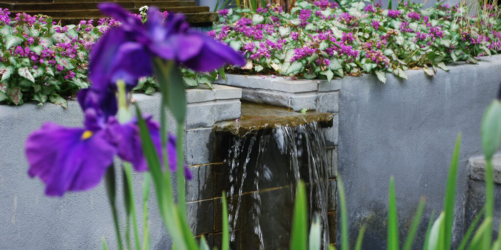garden and yard maintenance danville alamo