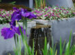 garden and yard maintenance danville alamo