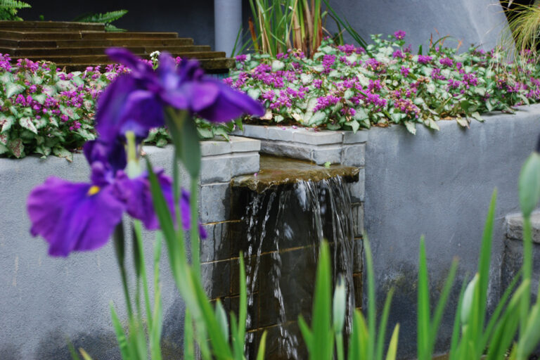 garden and yard maintenance danville alamo