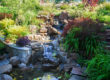 water landscape architect bay area palo alto