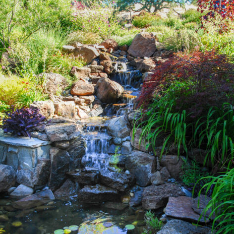 water landscape architect bay area palo alto