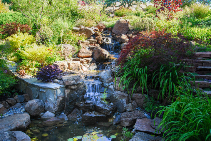 untitled-1120 water landscape architect bay area palo alto