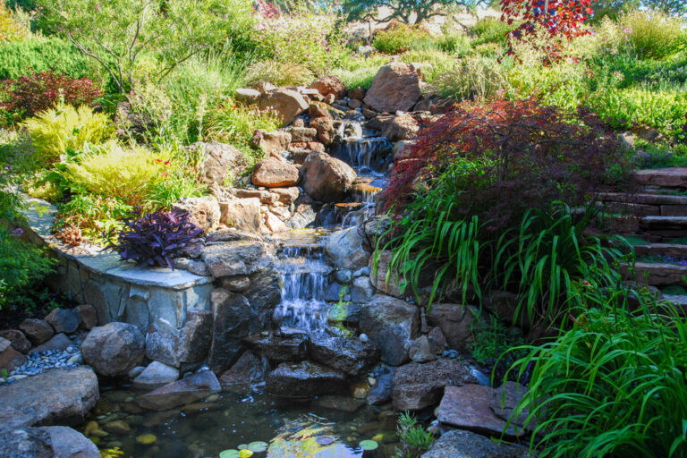 water landscape architect bay area palo alto