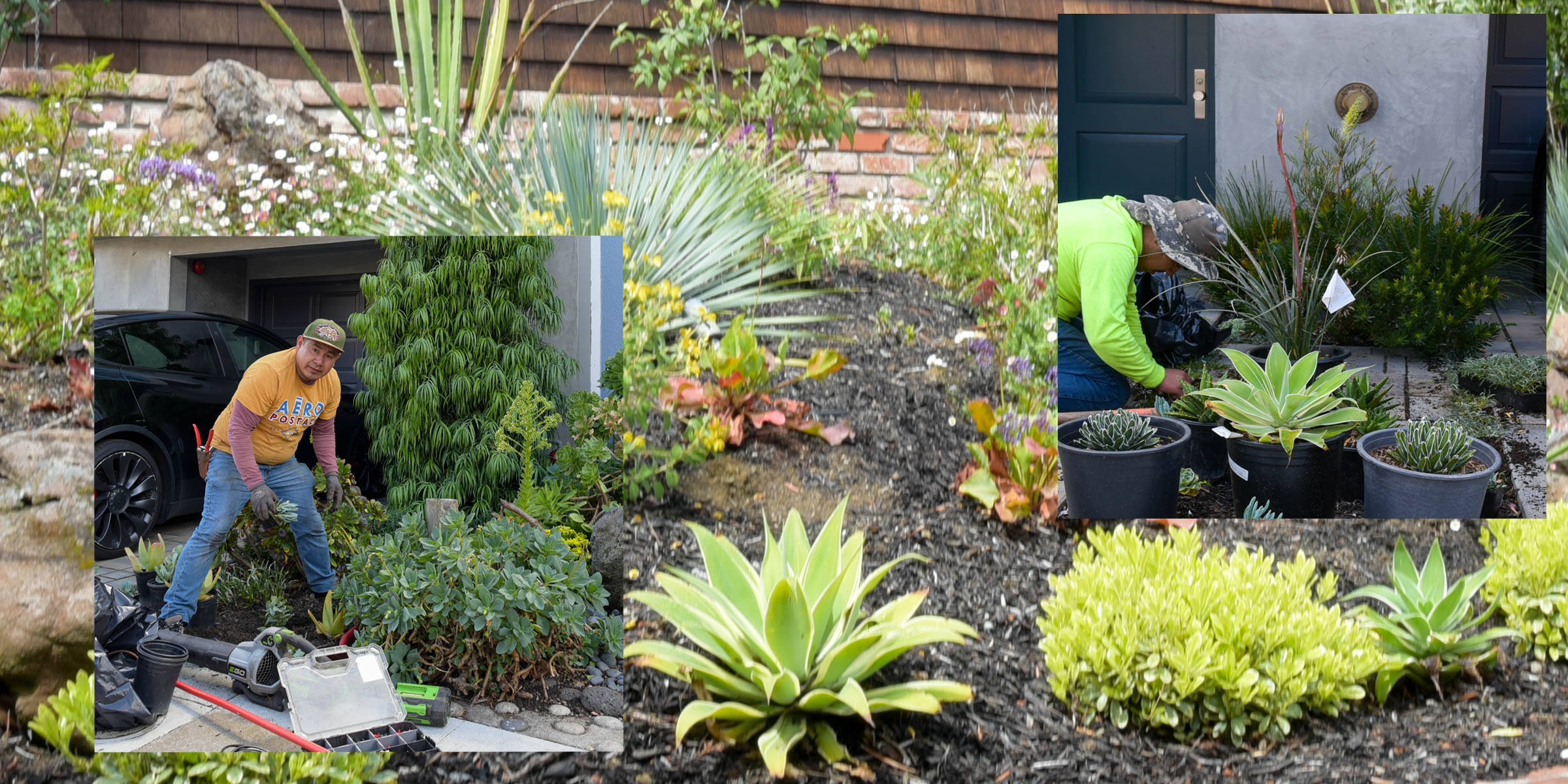 Bay Area Lawn and Garden Horticultural Services